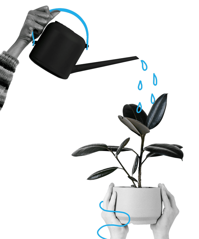 Ilustração de formulário